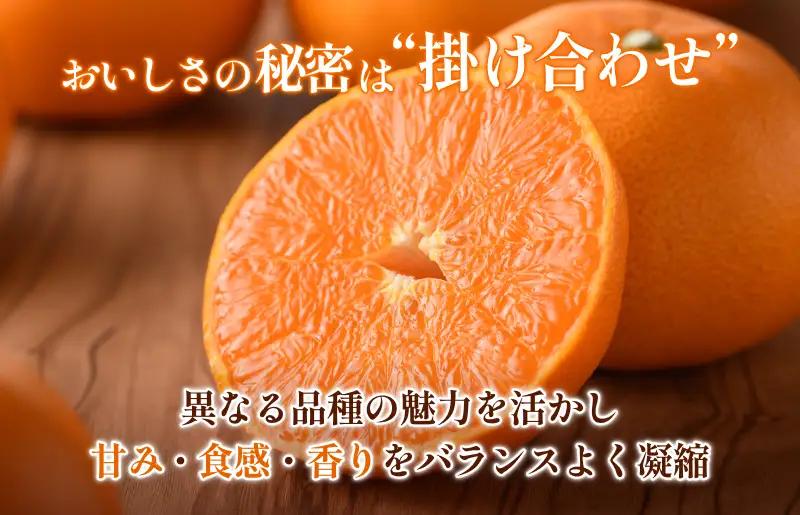 【先行予約】せとか（家庭用）レギュラー箱 約2.5kg【KC00770K3】