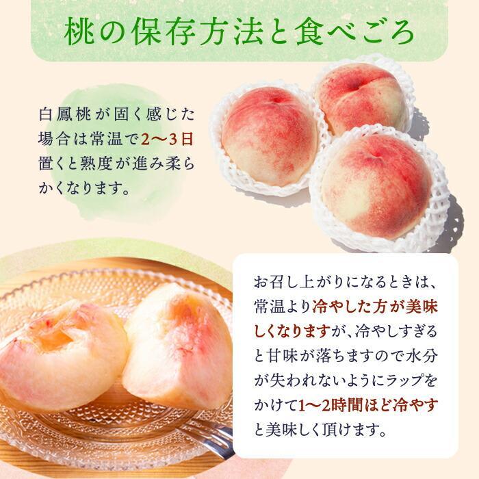 和歌山県産 白鳳 桃 11～15玉入り秀品［2026年6月下旬以降発送］［MG90］