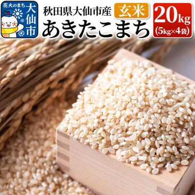 ふるさと納税 大仙市 米【令和7年産】あきたこまち 玄米 20kg|22_yss-022001