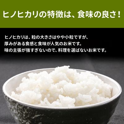 ふるさと納税 南九州市 鹿児島県産ヒノヒカリ5kg |  | 03