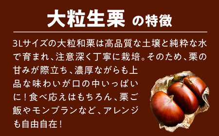 【先行予約】【9月中旬から順次発送】 愛媛県産高級和栗 大粒生栗 2kg 国産甘栗 甘栗 生栗 くり 和栗 愛媛県大洲市/あじさい農園 [AGAE008]国産甘栗 甘栗 生栗 くり 和栗  あまぐり 