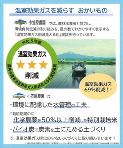 青天の霹靂 (特別栽培米) 白米10kg 令和5年産 青森県産米 [お申込み後に精米]｜2023年産 新米 つがる市 お米 米 こめ へきれき [0362]