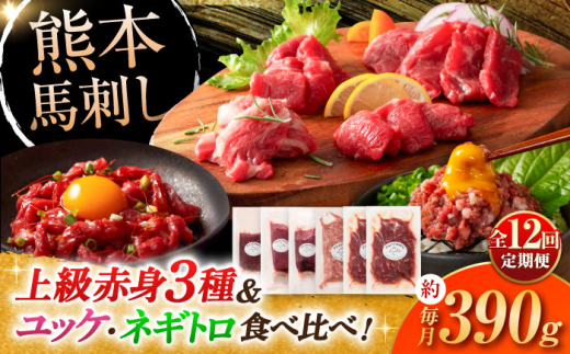 【全12回定期便】「本場・熊本の味」 上級赤身3種とユッケネギトロの詰め合わせ 3892 / 馬刺し 熊本馬刺し 熊本 菊陽 ネギトロ ユッケ タレ 醬油 生姜 赤身【株式会社フジチク】 [BHAD071]