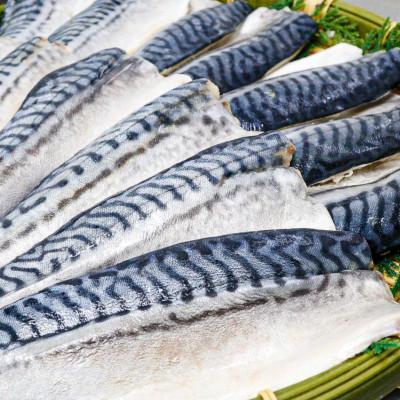 ふるさと納税 茨木市 【骨取り】無添加トロさばフィーレ 無塩 5切(約550g)