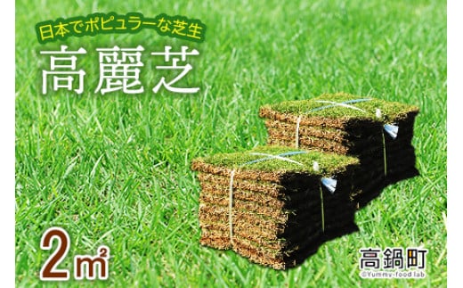 ＜高麗芝 2平方メートル＞2か月以内に順次出荷