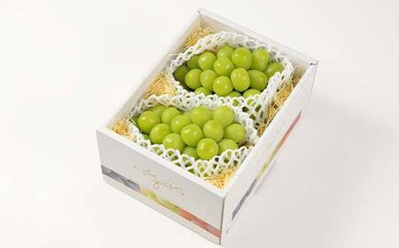 【先行予約（2025年9月より順次発送）】【満足の2～3房】こだわりのシャインマスカット 約1.2kg 山形県産 FSY-2088