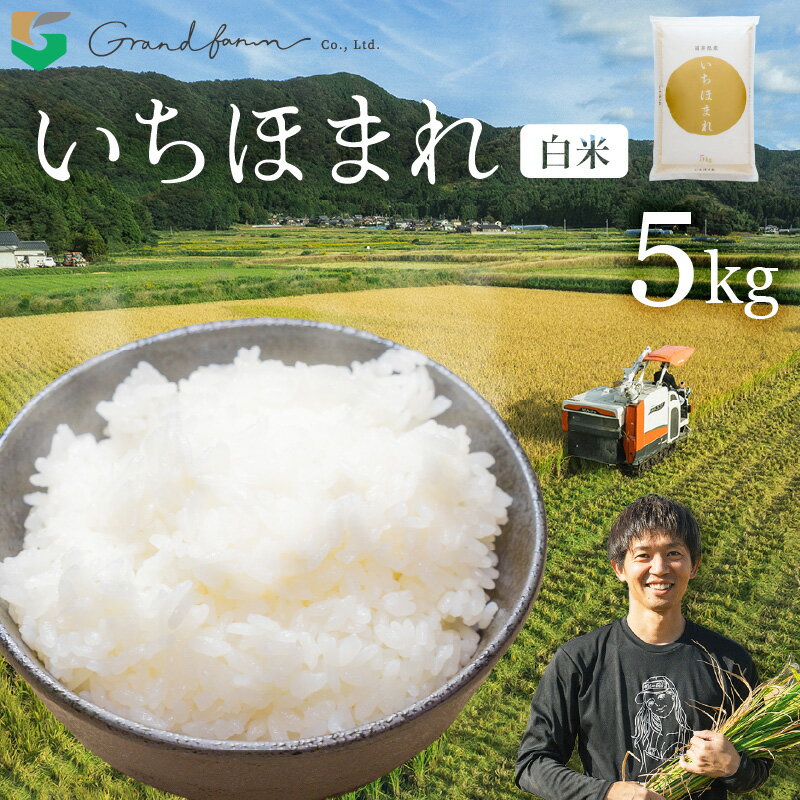 【ふるさと納税】【先行予約】令和7年産 新米 いちほまれ 白米 5kg 【2025年11月上旬以降順次発送予定】精米 福井県 美浜町産 白米 こめ コメ お米 おこめ 5キロ 10キロ おすすめ