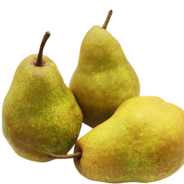 食の都庄内　《12・1・2月お届け-B》季節の贈り物-3ヶ月定期便 12月:啓翁桜、 1月:洋梨、 2月:いちご