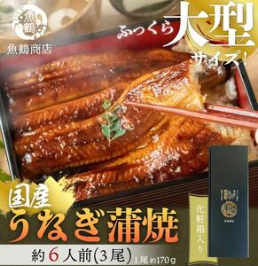 大型サイズ　ふっくら柔らか　国産うなぎ蒲焼き　3尾　化粧箱入【土用の丑の日のうなぎ】【～7月24日までにお届け】【UT06】