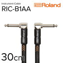 【ふるさと納税】【Roland純正】楽器ケーブル 30cm/RIC-B1AA【配送不可：離島】　浜松市