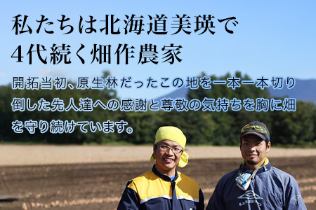 【令和7年産予約受付！】本山農場の玉ねぎ5kg 北海道 美瑛 たまねぎ 玉葱 野菜 送料無料 玉ネギ タマネギ オニオン 5kg スライス サラダ ハンバーグ 肉じゃが 味噌汁 焼き肉 バーベキュー 