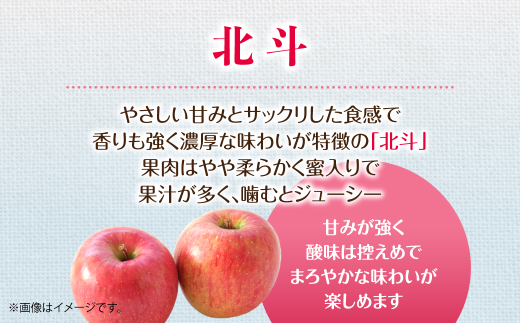 【先行予約】＜2026年11月中旬よりお届け＞北海道壮瞥町　りんご　品種名「北斗」8～10玉約3kg SBTF022