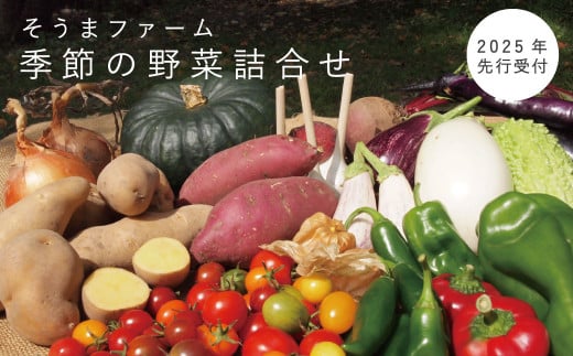 【2025年産受付】 相馬ファーム季節の野菜詰め合わせ