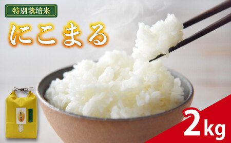 米 にこまる 2kg 農家直送 特別栽培米 お米 精米 静岡県 藤枝市