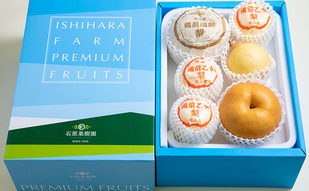 梨 2024年 先行予約 備前横綱梨（あたご梨） 超大玉2玉（1玉1.3kg～1.4kg）・備前乙女梨（鴨梨） 3～4玉 詰合せ 合計4.0kg以上 贈答箱 岡山県産 フルーツ ギフト 石原果樹園