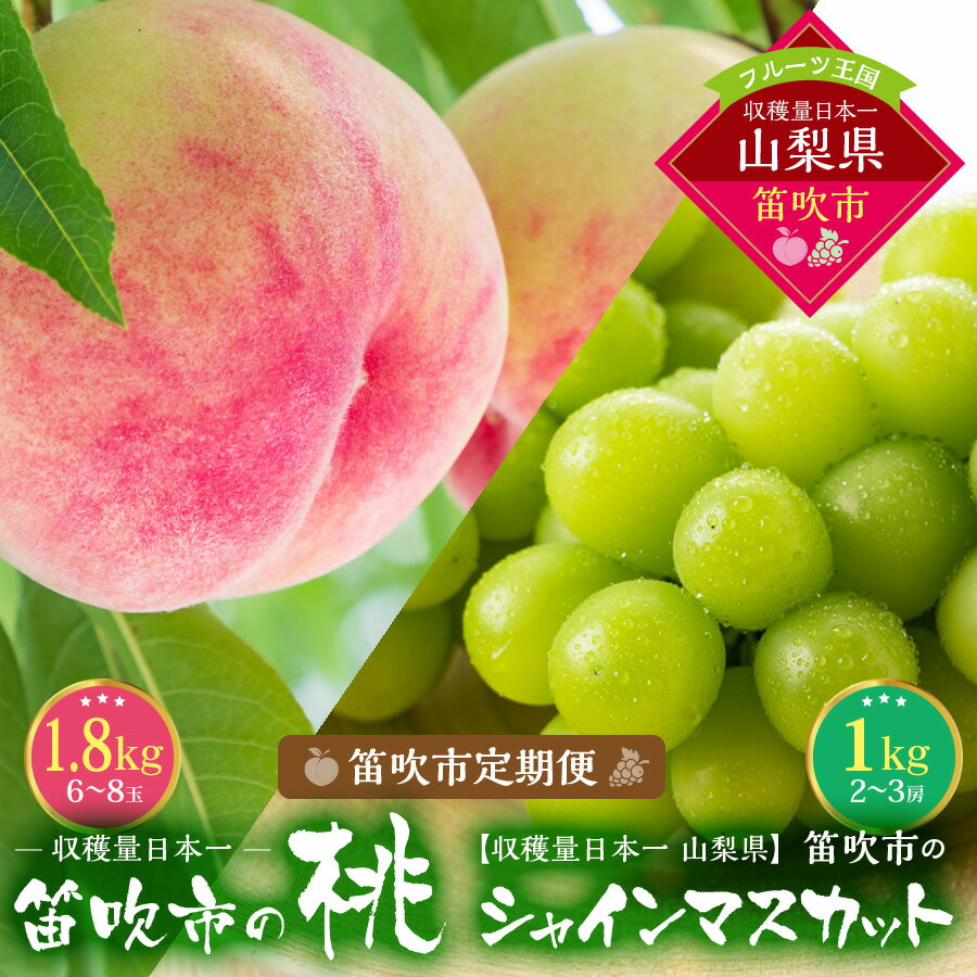 【ふるさと納税】【2026年発送★先行予約】『山梨夏の味覚定期便』笛吹市産旬の桃とシャインマスカット各1回 ふるさと納税 シャインマスカット 人気 ぶどう ブドウ 葡萄 旬 もも 桃 笛吹市 国産 人気 期間限定 果物 フルーツ 旬 山梨県 送料無料 167-014