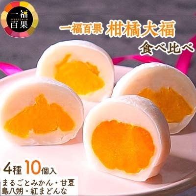 一福百果の柑橘大福食べ比べ10個入り【VB02280】【配送不可地域：離島】【1237318】