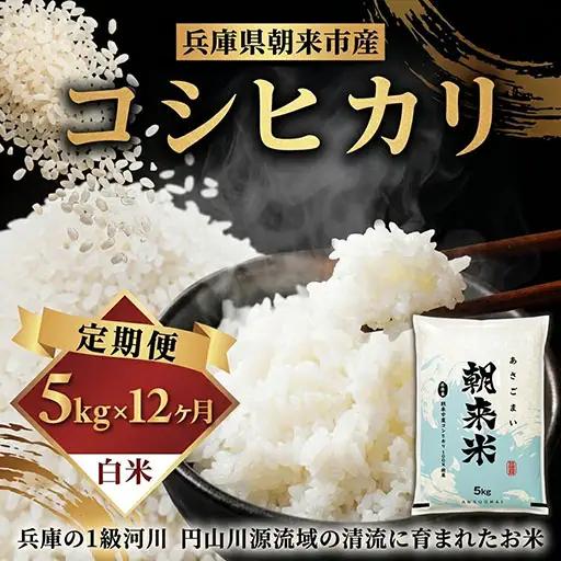 米【定期便12回】コシヒカリ5kg R8年産