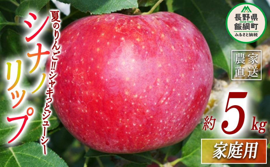 
            りんご シナノリップ 家庭用 5kg ヤマウラ農園 沖縄県への配送不可 2025年8月中旬頃から2025年8月下旬頃まで順次発送予定 令和7年度収穫分 信州 果物 フルーツ リンゴ 林檎 長野 17000円 予約 農家直送 長野県 飯綱町 [1570]
          