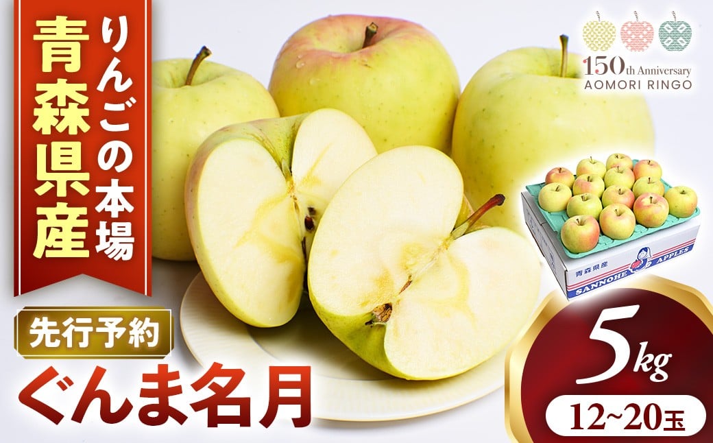
                  【2026年産・先行予約】りんご【ぐんま名月】約5kg（12～20玉）★2026年11月上旬～12月下旬頃まで発送予定★ りんご 林檎 リンゴ 国産 ぐんま名月 フルーツ 果物 贈答 土産 青森県 三戸町 R0113
                