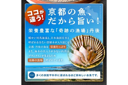 【干物 定期便・3ヶ月】リピーター人気！京丹後の地元魚屋が作ったお任せ干物セット（冷凍）日本海 旬の干物 定期便 3回 ・干物セット定期便・干物詰め合わせ・ひもの