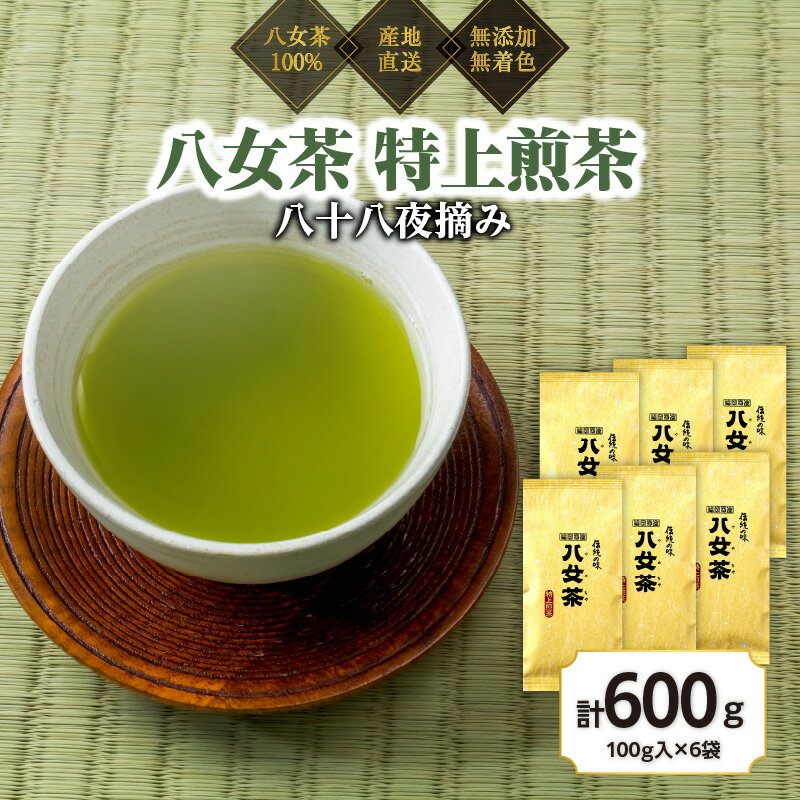【ふるさと納税】八女茶100％ まろやかなコクとさわやかな後味「特上煎茶」100g×6袋＜岩崎園製茶＞八女茶 煎茶 緑茶 産地直送 無添加 無着色 特上 たっぷり