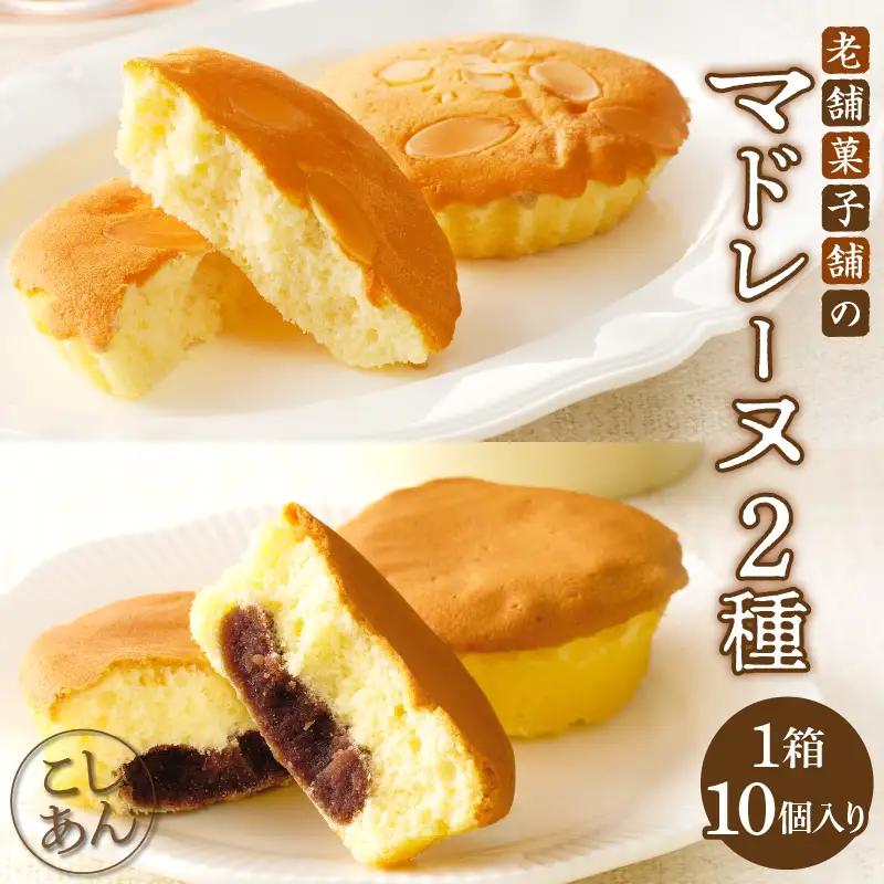 【2週間以内発送】老舗菓子舗のマドレーヌ2種セット(合計10個) 焼き菓子 スイーツ 詰め合わせ 洋菓子_T035-0065
