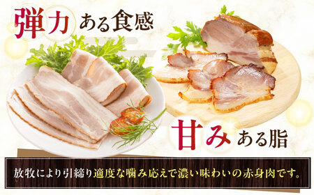 放牧豚 ベーコン4種セット 計860g 《厚真町》【ファーマーズファクトリー株式会社】[AXBA152]