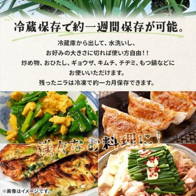 ふるさと納税 香南市 香南市のニラ 2kg 6ヶ月定期便 合計12kg Won-0018 |  | 01