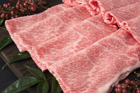 伊万里牛 肩ローススライス すき焼き 焼肉用 500g J245