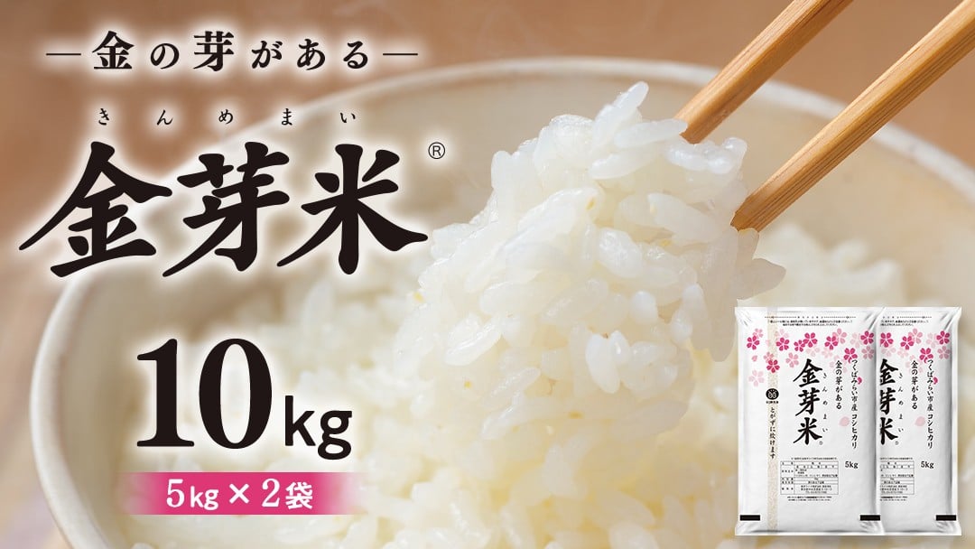 
            ＼ 2025年8月出荷 ／【 金芽米 】つくばみらい市産 コシヒカリ 10kg （5kg × 2袋）令和6年産 きんめまい 米 お米 無洗米 茨城県 カロリーオフ 低カロリー 東洋ライス 節水 時短 アウトドア キャンプ
          