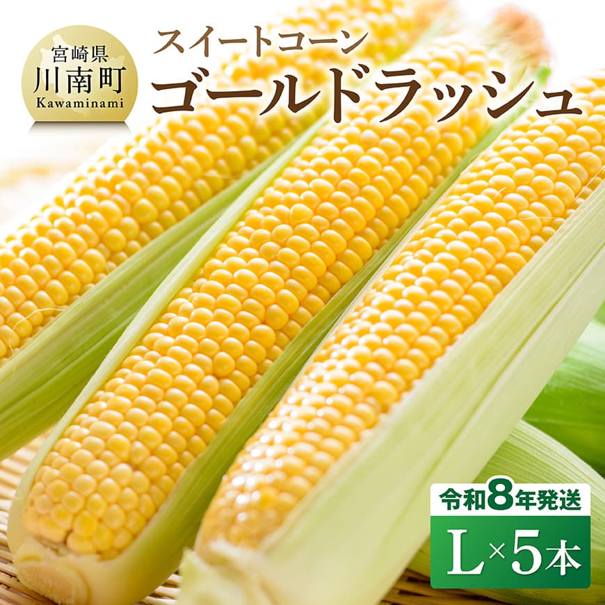 【ふるさと納税】【令和8年発送】宮崎県産とうもろこし　スイートコーン「ゴールドラッシュ」L×5本 - 宮崎県産 川南町産 九州産 新鮮 農家直送 産地直送 スィート—コーン とうもろこし 送料無料 C09107
