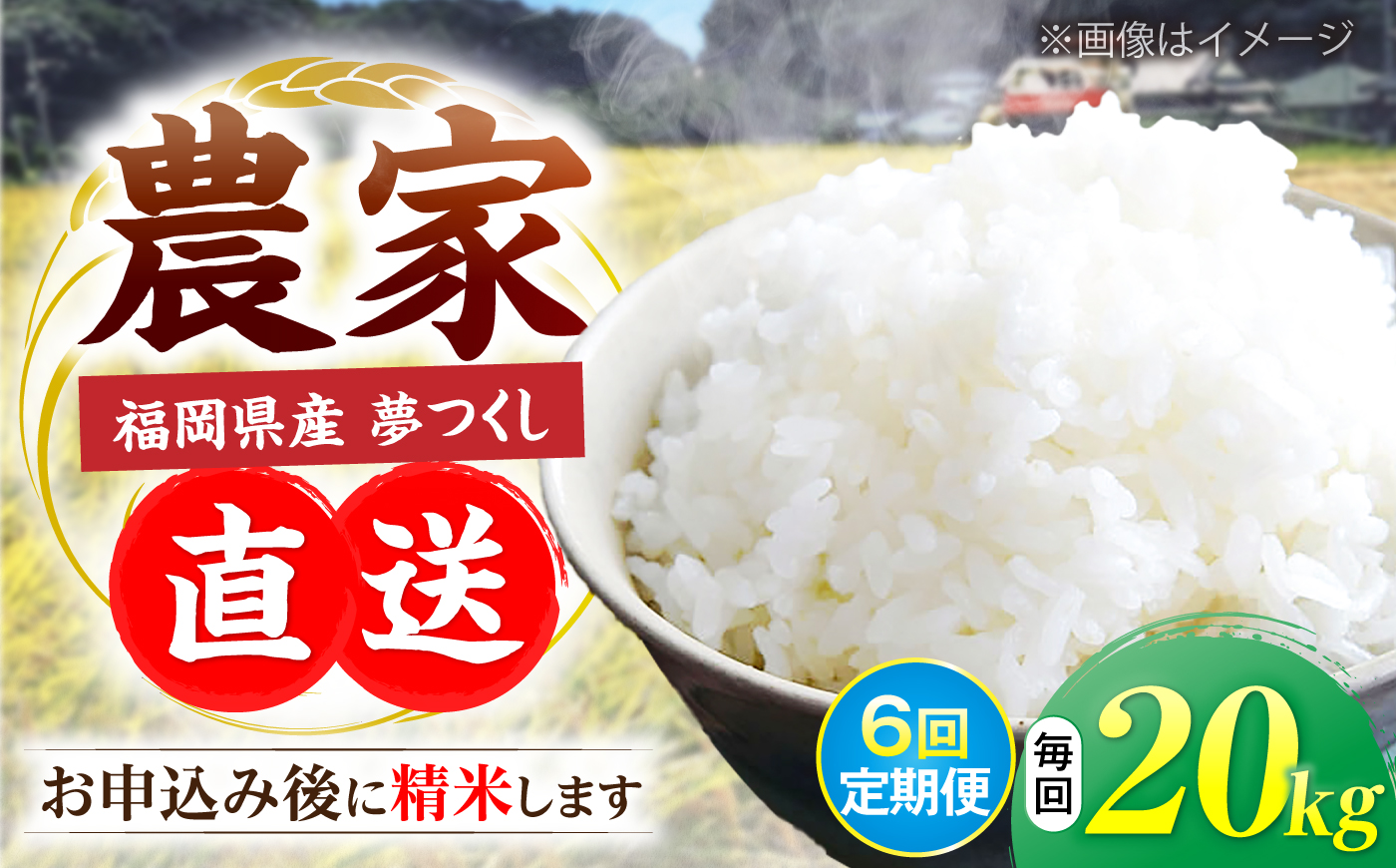 【新米先行予約】【全6回定期便】福岡県産米 夢つくし 20kg (10kg×2袋) 【2024年9月以降順次発送】 《豊前市》【湯越農園】米 精米 白米 [VBC015]