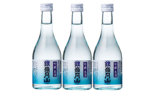 FYN6-583 山形の地酒【銀嶺月山】冷酒飲みくらべセット各300ml×6本 山形県 西川町