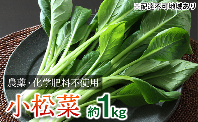 
[№5258-0267]栽培期間中農薬化学肥料不使用の小松菜詰め合わせ 約1kg（100g×10袋）
