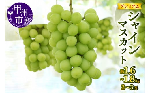 【宿沢フルーツ農園】プレミアムシャインマスカット約1.6～1.8kg（2～3房）【2026年発送】（SF）C-124【プレミアム シャインマスカット 葡萄 ぶどう ブドウ 令和8年発送 期間限定 山梨県産 甲州市 フルーツ 果物】