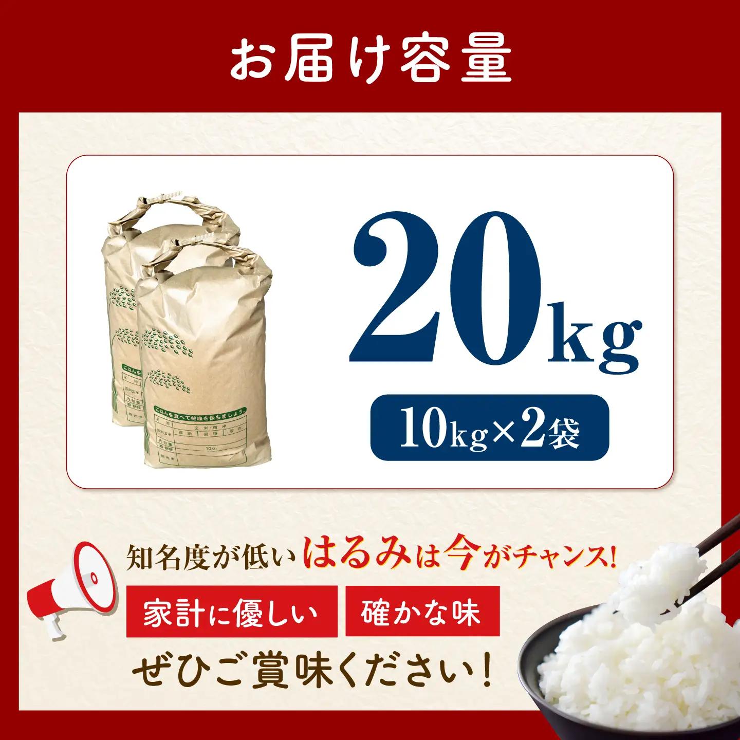 【白米】はるみ米 20kg 白米   [BDBB004]