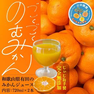 【爽やかなのに濃い！】無添加ストレートみかんジュース 720ml 2本