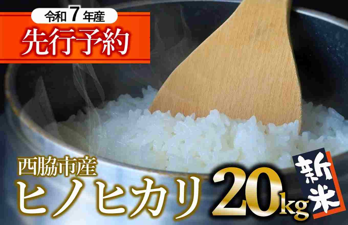 
            【新米先行予約】ヒノヒカリ 20kg 白米 令和７年産 (60-19) 米 お米 こめ コメ ヒノヒカリ ひのひかり 人気 白米 兵庫県産 20kg 精米
          