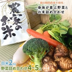 新米【白米2kg】栽培期間農薬不使用『身体が喜ぶ野菜とお米』詰め合わせ(おまかせ)潮来はぐくみのもり