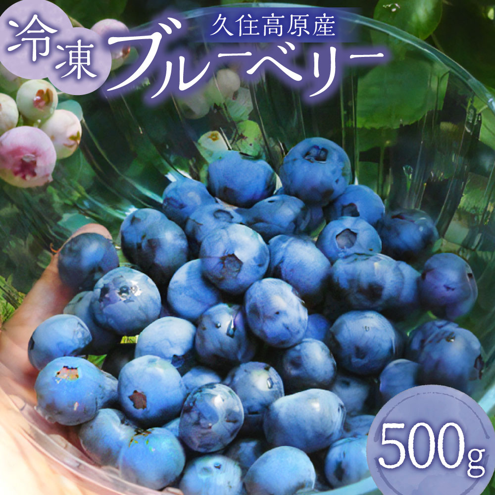 【ふるさと納税】 【お試しサイズ】久住高原 冷凍 ブルーベリー 500g 栽培期間中 農薬不使用 手摘み 新鮮 ジャム スムージー ヨーグルト フルーツ 果物 お試し 特産品 特産 名産 国産 九州 大分県 竹田市 久住高原産 送料無料【2025年7月下旬より順次発送開始予定】