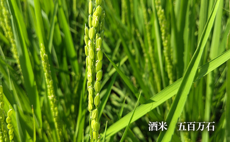 蔵元直送　ふるさとの味　地酒セット　300ml×3本