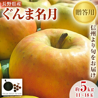 【ふるさと納税】「産地より信州中野の旬をお届け」 長野県産ぐんま名月　贈答用　約5kg_ りんご 林檎 リンゴ 名月 ぐんま名月 フルーツ 果物 ふるーつ くだもの 国産 旬 ギフト 贈答 産地直送 信州 長野 人気 品種 送料無料 産直 【1305055】