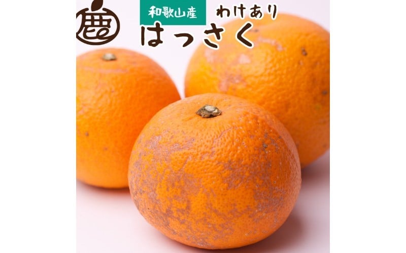 
            ＜先行予約＞家庭用はっさく5kg+250g（傷み補償分）【八朔みかん】＜1月より発送＞ ※北海道・沖縄・離島への配送不可【ikd140A】
          