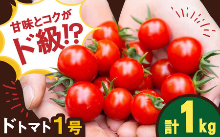 【先行予約】人気のドトマト1号1kg / トマト トマト トマト トマト トマト トマト トマト / 佐賀県 / 永尾産ち [41AAAC002]