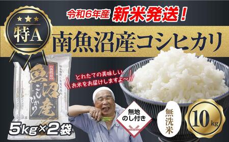 【新米発送】 無地のし 「無洗米」 令和6年産 新潟県 南魚沼産 コシヒカリ お米 5kg×2袋 計10kg 精米済み（お米の美味しい炊き方ガイド付き） お米 こめ 白米 新米 こしひかり 食品 人気 おすすめ 送料無料 魚沼 南魚沼 南魚沼市 新潟県産 新潟県 精米 産直 産地直送 お取り寄せ