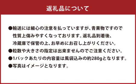 【2ヶ月定期便】エコファーマー あまおう （約280g×2パック）×2回 計約1120g【数量限定】【2025年2月上旬から3月下旬順次発送】 いちご 苺 イチゴ ベリー 果物 フルーツ お取り寄せ 