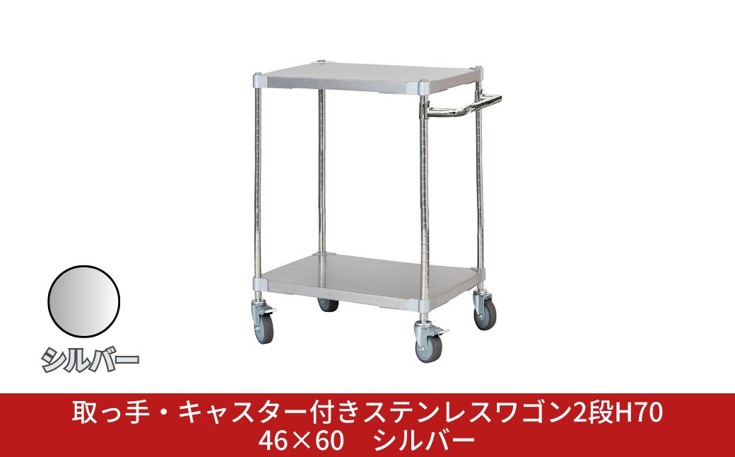 
            取っ手・キャスター付きステンレスワゴン2段H70 46×60 シルバー PROFACE プロフェイス 冷蔵 冷凍 クリーン 組立式 燕三条製 【257S006】
          