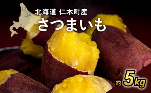 
                  2026年発送 北海道 仁木町産  さつまいも 5kg S～Lサイズ サイズバラバラ 野菜 やさい サツマイモ イモ 仁木町 [嶋田茂農園匠]
                