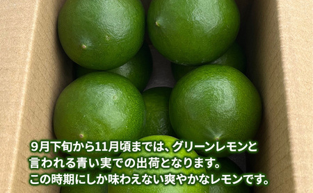 淡路島 マイヤーレモン 1kg レモン 檸檬 れもん グリーンレモン 果物 フルーツ 季節の果物 季節のフルーツ 旬 旬のフルーツ 旬の果物 洲本市